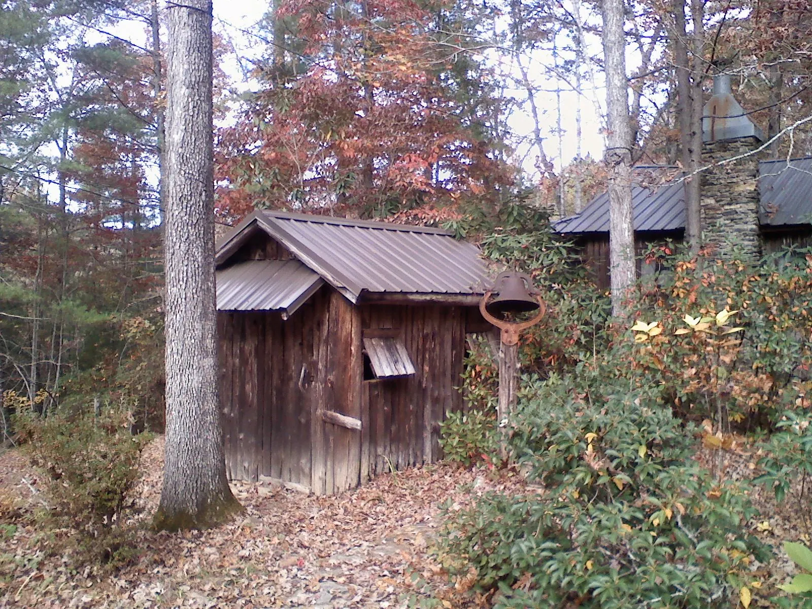 Small metal roof on a rough sawn shed in the woods in Ashley